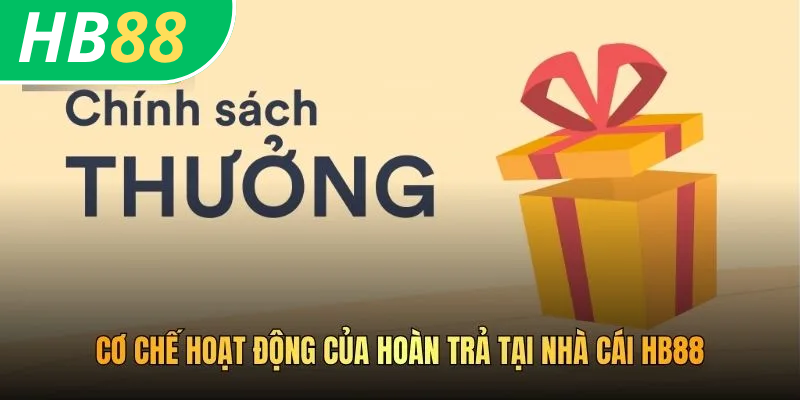 Cách Nhận Hoàn Trả HB88 Giúp Bet Thủ Càng Chơi Càng Lời 2 Cơ chế hoạt động của hoàn trả tại nhà cái HB88
