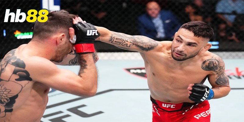 Các loại kèo thường gặp khi theo dõi UFC
