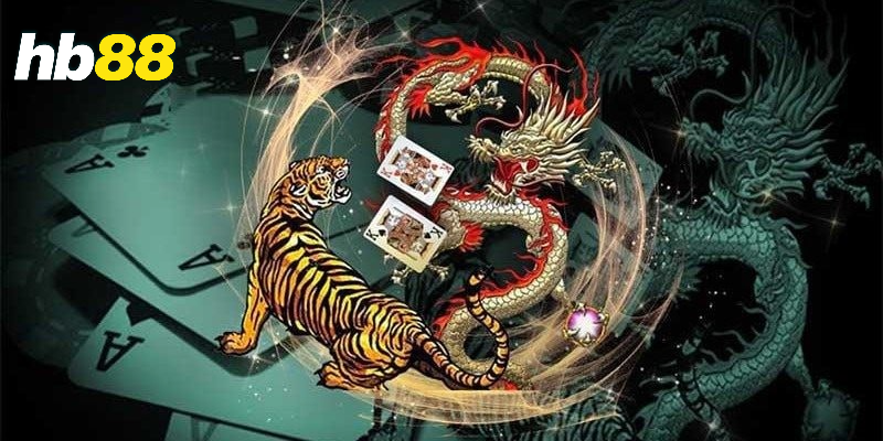 Các cửa cược cơ bản trong Rồng hổ
